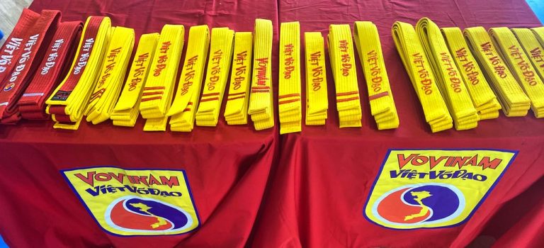Il programma del Vovinam