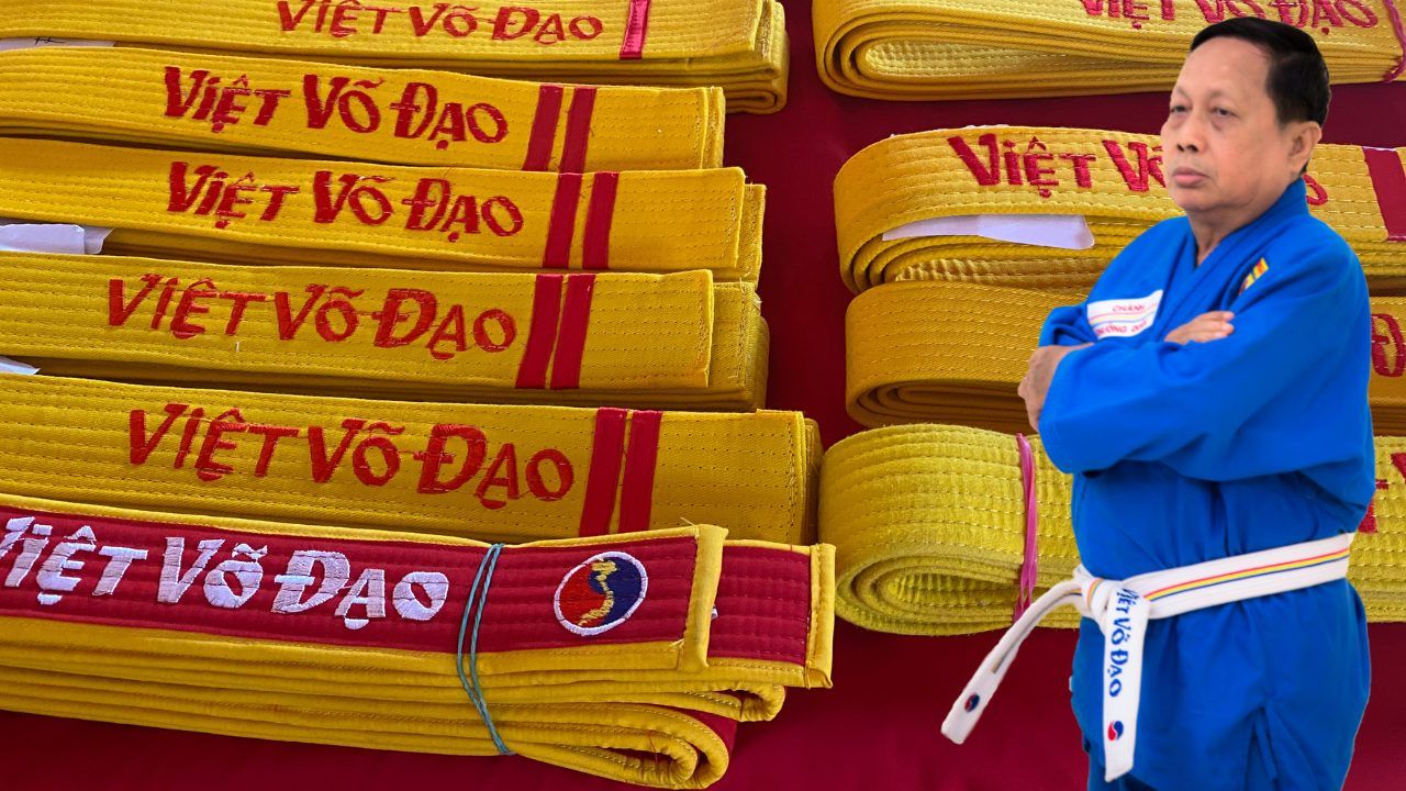 Gradi e colori del vovinam